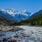 msid-109803228,width-96,height-65